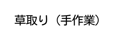 草取り 手作業