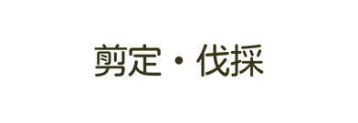 剪定 伐採